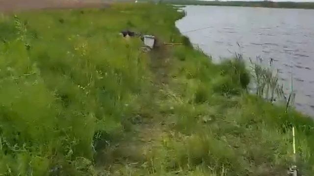 чай. кофе будешь. смотреть до конца смотреть онлайн