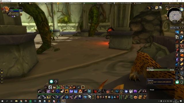 Wow Classic - Hunter solo DM East - safe guide for newcomers - 10 mins смотреть онлайн