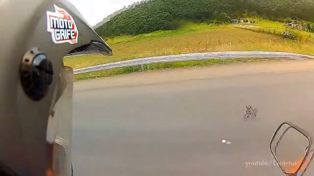 Братья Дорога - Любовь к животным