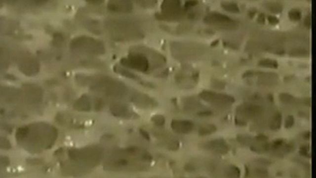 Скелет человека YouTube смотреть онлайн