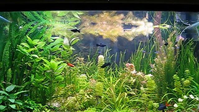 MVI_3569.AVI смотреть онлайн