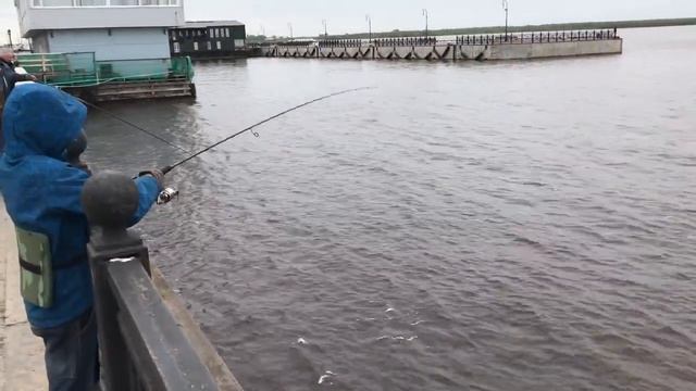 Отводной. Открыли сезон. Двина смотреть онлайн