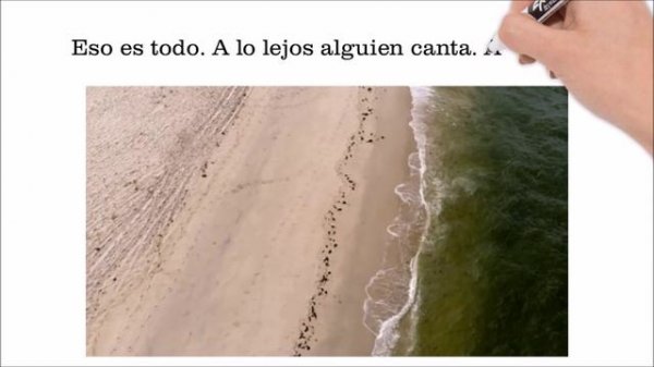 Spanish love poems. Pablo Neruda.