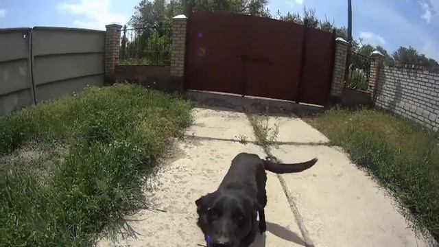 SLOW Motion with "Tuzik" Sony HDR AS-20 (120 fps) смотреть онлайн