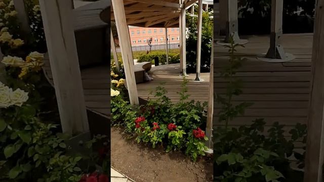 Выходные в Туле с детьми ? Тульский Кремль, набережная, новая пешеходная улица