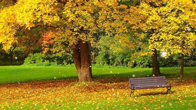 Музыка расслабляет нервную систему, улучшает память ? Музыка Сергей Грищук #82 смотреть онлайн