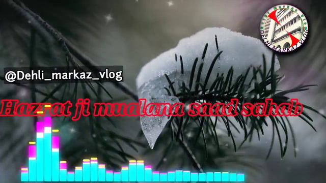 2023 me hazrat ji ka aham bayan hazrat ji mualana saad sahab ka bayan 2023 смотреть онлайн