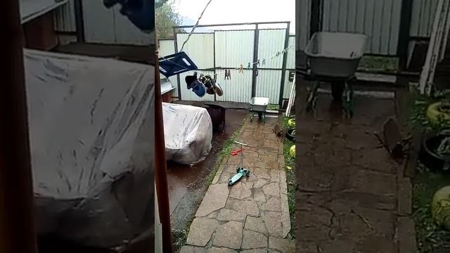 Почему желтая скорлупа в белых пятнышках? смотреть онлайн