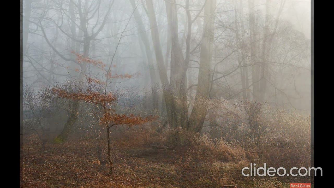 Холодает - Н.Корн смотреть онлайн