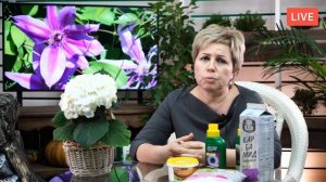 ЛИАНЫ ДЛЯ САДА ? Выбираем однолетние и многолетние лианы ? Прямой эфир