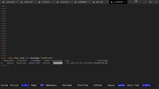 3 Ways to Debug Your Network with Suzieq смотреть онлайн