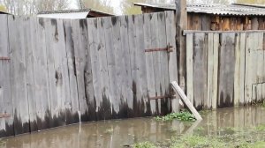 Река Оя топит село Ермаковское