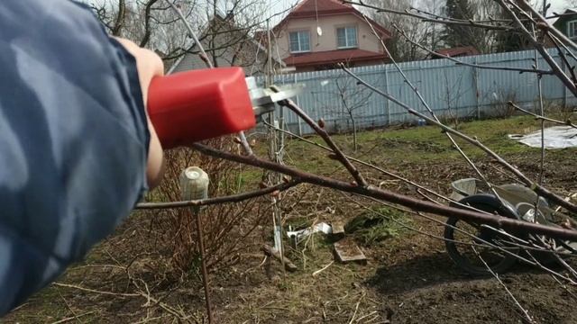 Обрезка и формировка кроны черевишни ( Дюк) весной.Особенности обрезки Перевод роста смотреть онлайн
