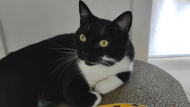 "I will whisper - it is top-secret" смотреть онлайн