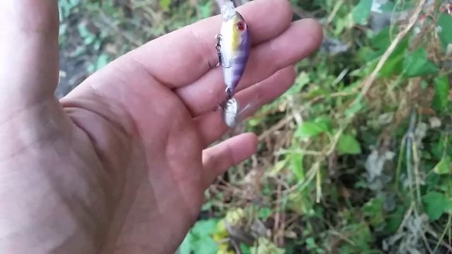 20 сентября 2015 г.