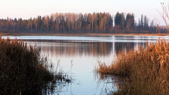 Река Оредеж между Даймище и Чикино, Чикинское озеро. Кратко:) смотреть онлайн