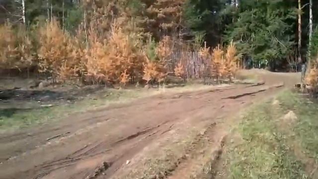 Сербишино. Часть 1 смотреть онлайн