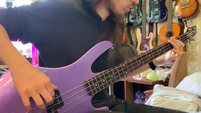 Washburn XB-100 после отстройки