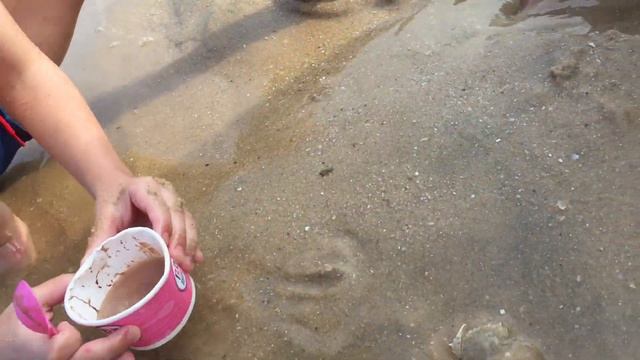 Мистер Петр Валуев, крабы и как их ловить Вьетнам смотреть онлайн