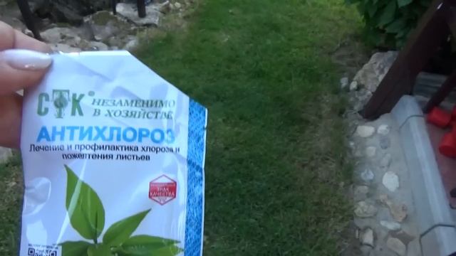 Дача. Сажаем новинки. Обидно до слез.Осторожно Подделка! смотреть онлайн