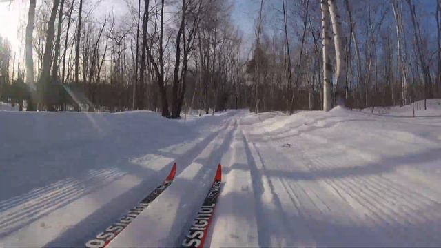 BioSki Cross Country Ski and Snowshoe Club- Briar Downhill смотреть онлайн