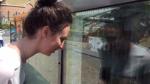 Люди в зоопарке! смотреть онлайн