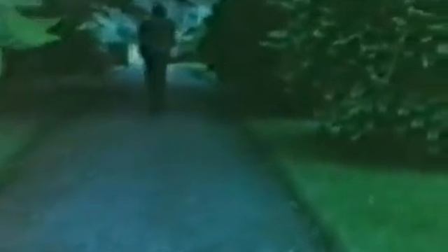 Путешествие Пилигрима. смотреть онлайн