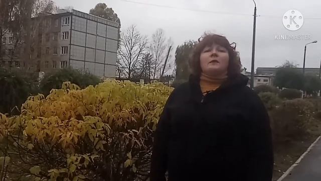 Единство навсегда | Н. Майданник | чтение стихотворения смотреть онлайн