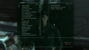 Fallout 3. Мод "Нью-Йорк - Большое яблоко" - подробное прохождение, жизнь за кадром (без комментов)