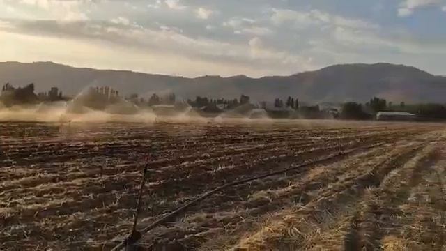Ёмгирлатиб сугориш ишлари. Дождивание орошенные. sprinkler irrigation. Yagmurlama sulama. смотреть онлайн