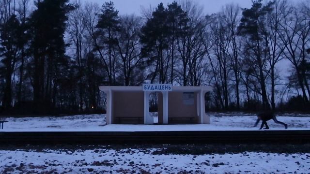 Бег на четвереньках в суровую погоду зимой. Часть 3 смотреть онлайн