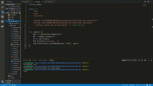 Vendoring packages in Go смотреть онлайн