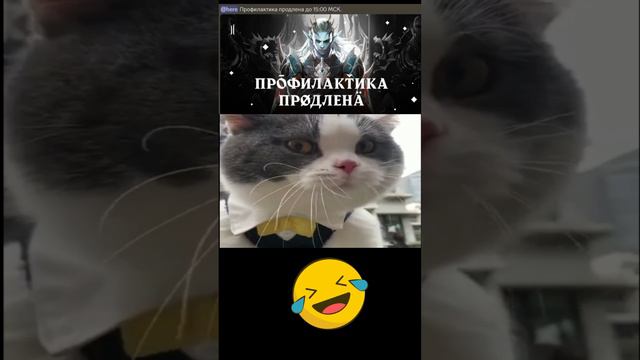 🤣 Когда продлили проф работы на серверах в #lineage2 #ruoff #л2 #l2 #руфус #pyqpyc