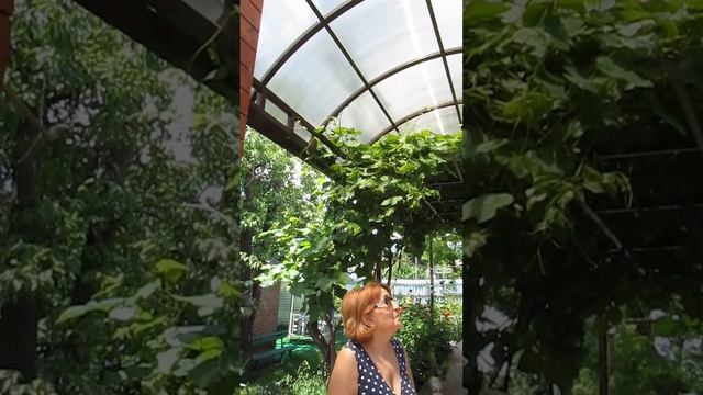 Навесы и поликарбоната