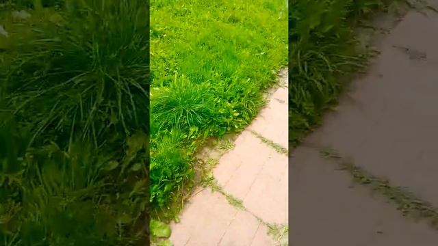 Моя дача, обзор на дачу. смотреть онлайн