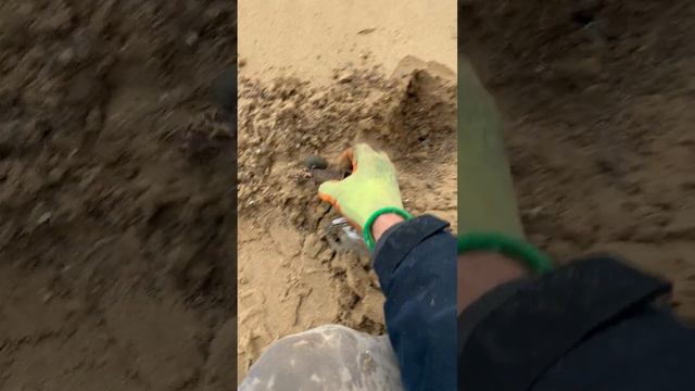 Discover Hidden Treasures With Beach Metal Detecting! смотреть онлайн