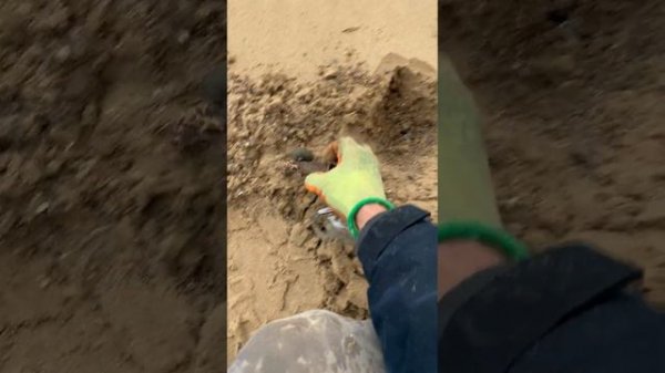 Discover Hidden Treasures With Beach Metal Detecting!