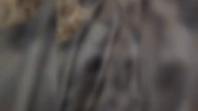 ПОЛУЧИЛОСЬ Невероятное!!!🤩🤩🤩Перекрой старой норковой шубы в современную модель ( бомбер) смотреть онлайн