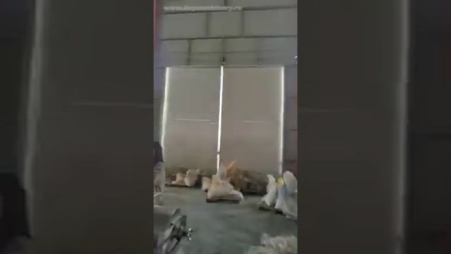 Двухшнековый экструдер с прекондиционером. Оборудование для производства корма. #гранулы#кондиционе смотреть онлайн