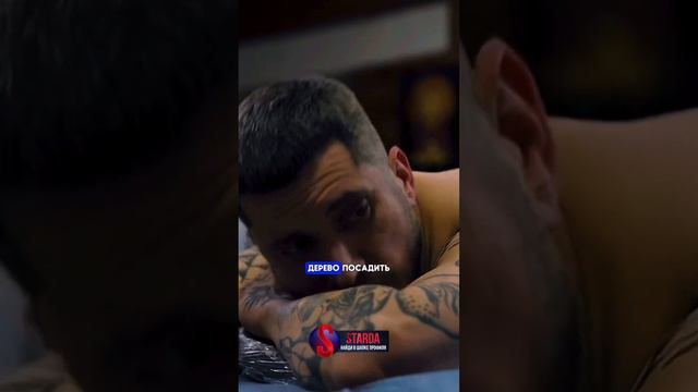 Дерево не посадил, но сам сидел🥹/ #интервью #плюшки #пашатехник смотреть онлайн