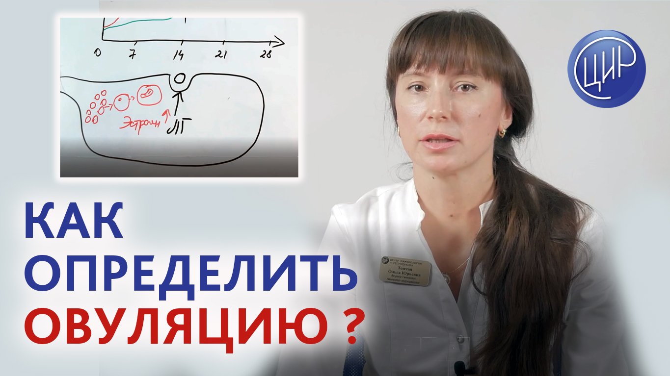 Как определить овуляцию. Про определение овуляции рассказывает врач акушер-гинеколог ЦИР Топчая О.Ю. смотреть онлайн