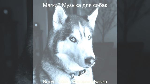 Музыка (Мечты) смотреть онлайн