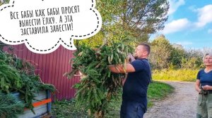 Артёму конкурс не понравился. А как же новогоднее настроение? Вывозим огромную ёлку частями