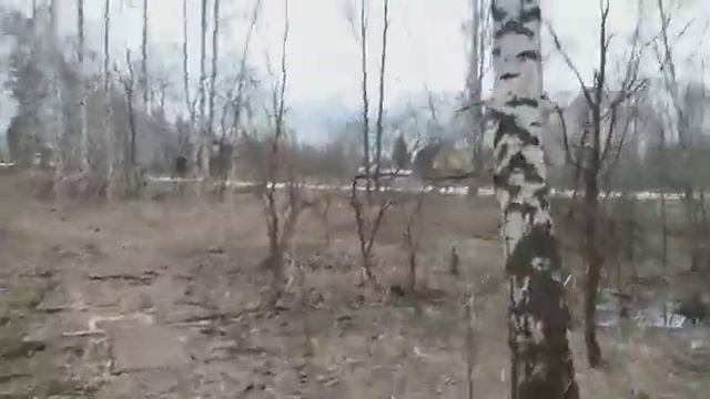 Лесное озеро 150 метров от СНТ Атомщик Шатура смотреть онлайн