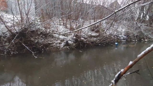 Возле дома. Рыбалка и грибы. смотреть онлайн