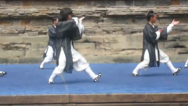 Taichi48.ru Выступление воспитанников Академии У-шу Wudang (1).