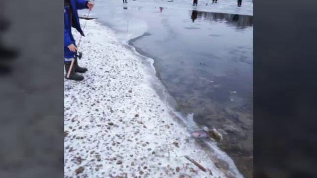 03 января рыбалка в кокино смотреть онлайн