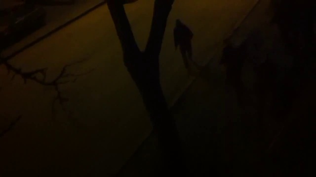 Украина, Одесса, февраль 2014. Одесситы разогнали битами "Одесский Майдан" смотреть онлайн