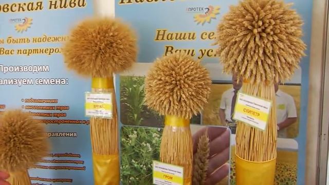 Агрофирма Павловская нива смотреть онлайн