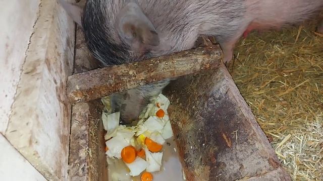 Я сделал всё что мог смотреть онлайн